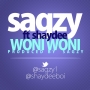Woni Woni by Sagzy ft. Shaydee