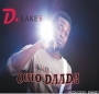 dlakes4usss