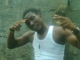 kelvin226