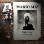 Mario miz