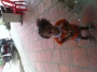 jackwilliams247