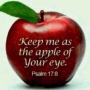 Joshua806