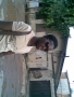 shadams