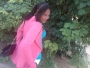 swtpie