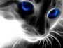 Amy4u2c