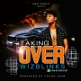 Wizblinks 