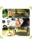 ennygirl1020