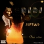 Ashewo by Didi