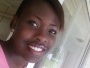 bimland