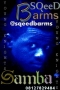 sambaa by sqeed barms