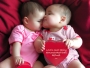 Lovina353