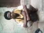 buntop1