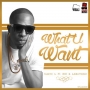 What You Want by Naeto C ft. BOJ x Ajebutter22
