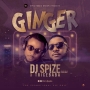 DJ Spize X Trice Baba