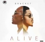 Tous Jour by Bracket 