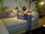 galfaq123