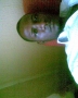 khisso