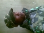 paulwole