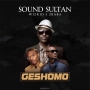  Sound Sultan ft. Wizkid & 2Baba