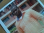 OLUBIYI