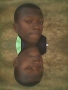 Cuddyboy