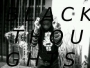 cumzikadiggs