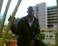 adeagbojoseph