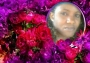 gracy320
