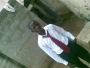 duduendowed