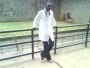 teeboy1