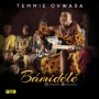 Bamidele by Temmie Ovwasa (YBNL Princess)