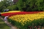 rosegarden