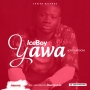 Tekno ft Iceboy