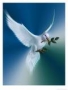 peacetee