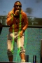 elvisgrey