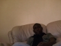 bunmiedee