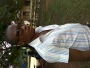 abeladoalways