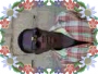 Tunanison