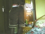 Pilz