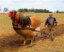 Kingdom2012