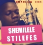 stilefes