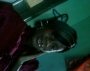 herlygirl