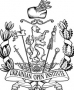 demidov2404