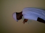 micheal105