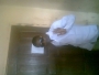 jonabest