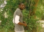 Peacej
