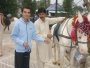 Gulzar733