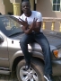 Picture