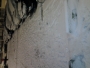 kester67