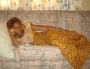 habiba31